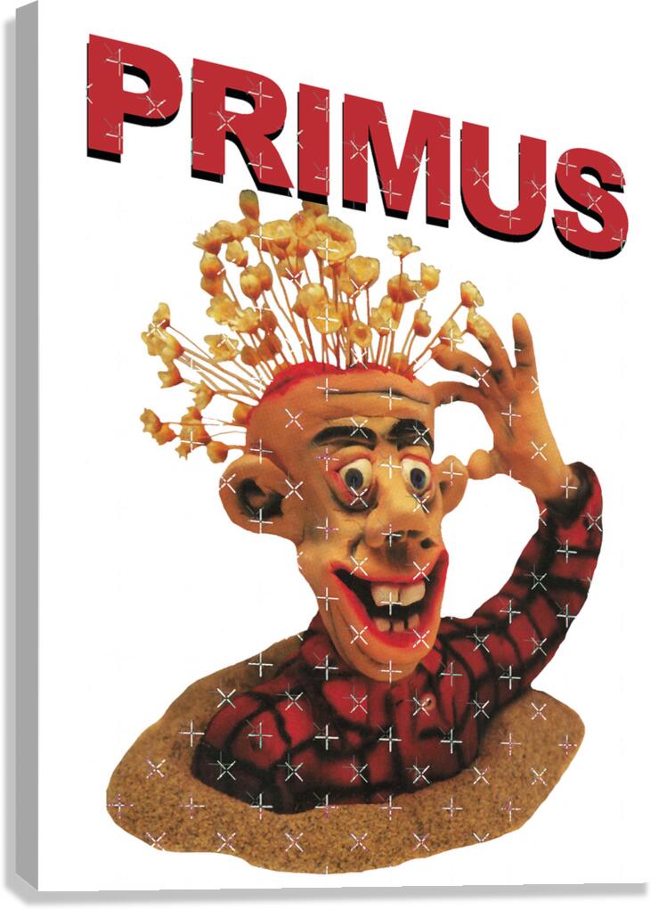Primus 40 Canvas Print