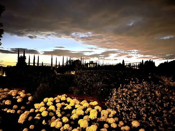  A Tuscan Garden by Ken Wiles
