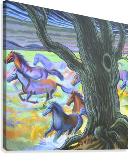 Wild Horses  Canvas Print