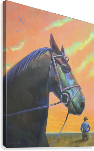 Open Range Canvas Print