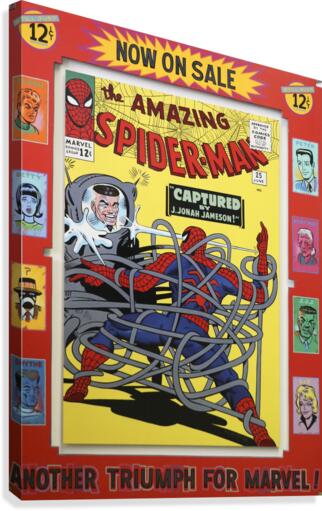 Spiderman Canvas Print