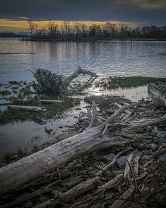 FS260331M DRIFTWOOD