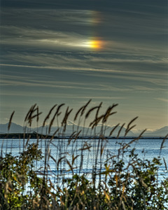 FS250807A HIGHLIGHT 2025