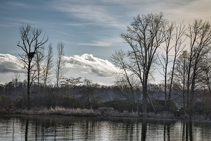 FS260105 IMPERIAL LANDING