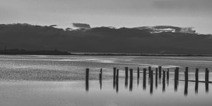 FS241226DW MONOCHROME LANDSCAPE