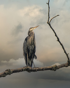 20250730 32 87 Edit 1