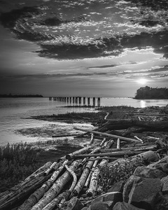 FS250827BW DRIFTWOOD ON GILBERT BEACH Edit