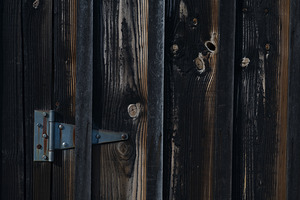 FS250423 DETAILS OF A DOOR