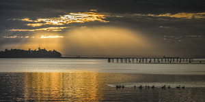 FS251002 GILBERT BEACH AFTERNOON