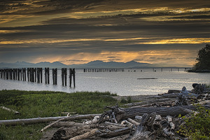 FS250530 DRIFTWOOD ON GILBERT BEACH