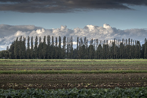 FS251011 FARMLAND ON FINN ROAD