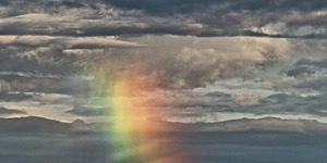 FS250531 A PATCH OF RAINBOW