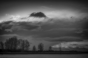 FS250201 BW LANDSCAPE AT IMPERIAL LANDING