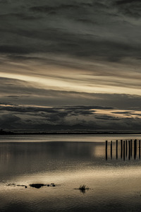 FS250225CN8 GOLDEN HOUR