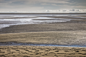 FS180303BR BLUE RIBBON ON IONA BEACH