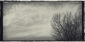 FS250401 FRAMED CLOUDSCAPE AND TREE