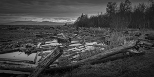 FS241227 WEST DYKE BW