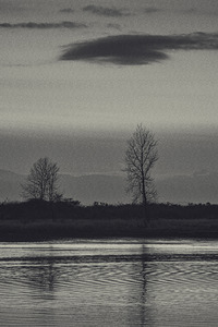 FS250121 NATURALLY IN NATURE BW