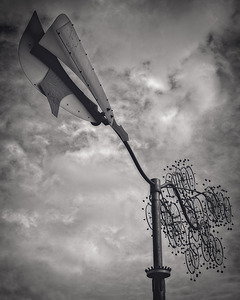 FS240229 BLOW IN THE WIND 20240229