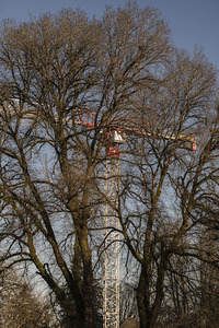 FOREST TRANSFORM TO BUILDINGS