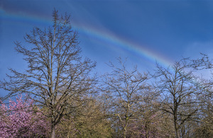 FS100415 00 Rainbow After Spring Shower