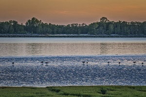 FS250505 GILBERT BEACH IN WINTER