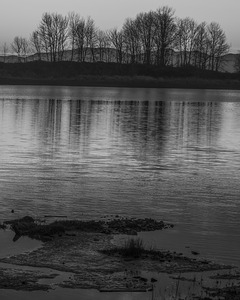 FS250118BW SHADY ISLAND