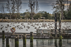 FS251012 IMPERIAL LANDING