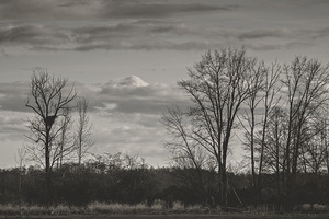 FS250401 IMPERIAL LANDING