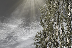 FS240613 SKY IS THE LIMIT