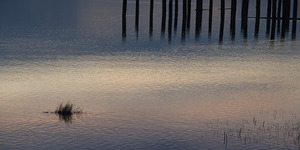 FS250225 WATER REFLECTIONS