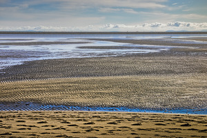 FS180303B2 BLUE RIBBON ON IONA BEACH 2