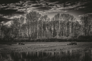 FARMLAND AT FINN SLOUGH