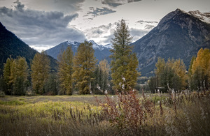 FS071014 PEMBERTON 2007