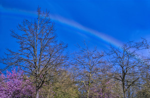 FS100415 Rainbow After Spring Shower