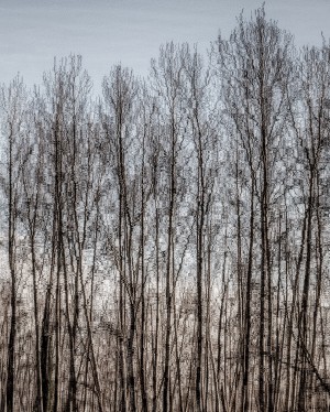 FS110302 0