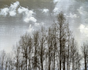 FS110307 3