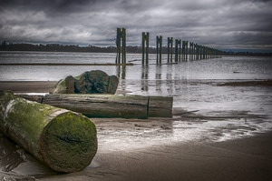 FS120331H2 DRIFTWOOD AT FRASER