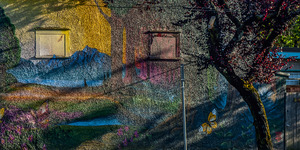 FS120721 06 MURALS IN VANCOUVER