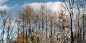 FS201107DW2