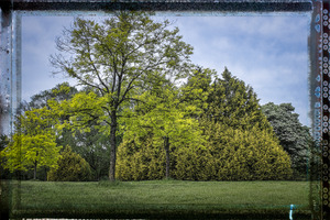 FS220607 POLAROID