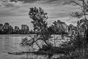 FS220925BW