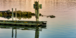 FS221109 WATER REFLECTIONS