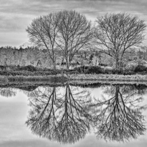 FS230104 High Key Landscape