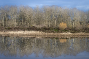 FS230119 066  Iona Beach Regional Park