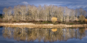 FS230119 WINTER LANDSCAPE