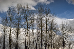 FS230307 030