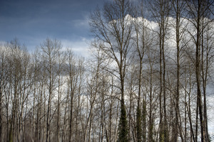 FS230307 082