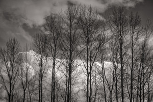 FS230307 SS