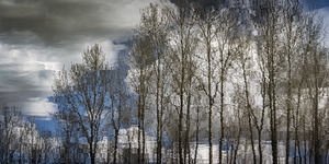 FS230401 073  REFLECTION OF LIFE